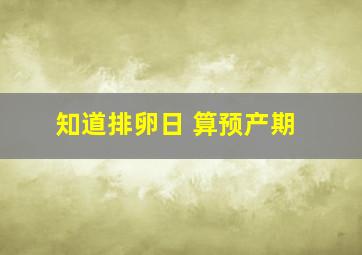 知道排卵日 算预产期